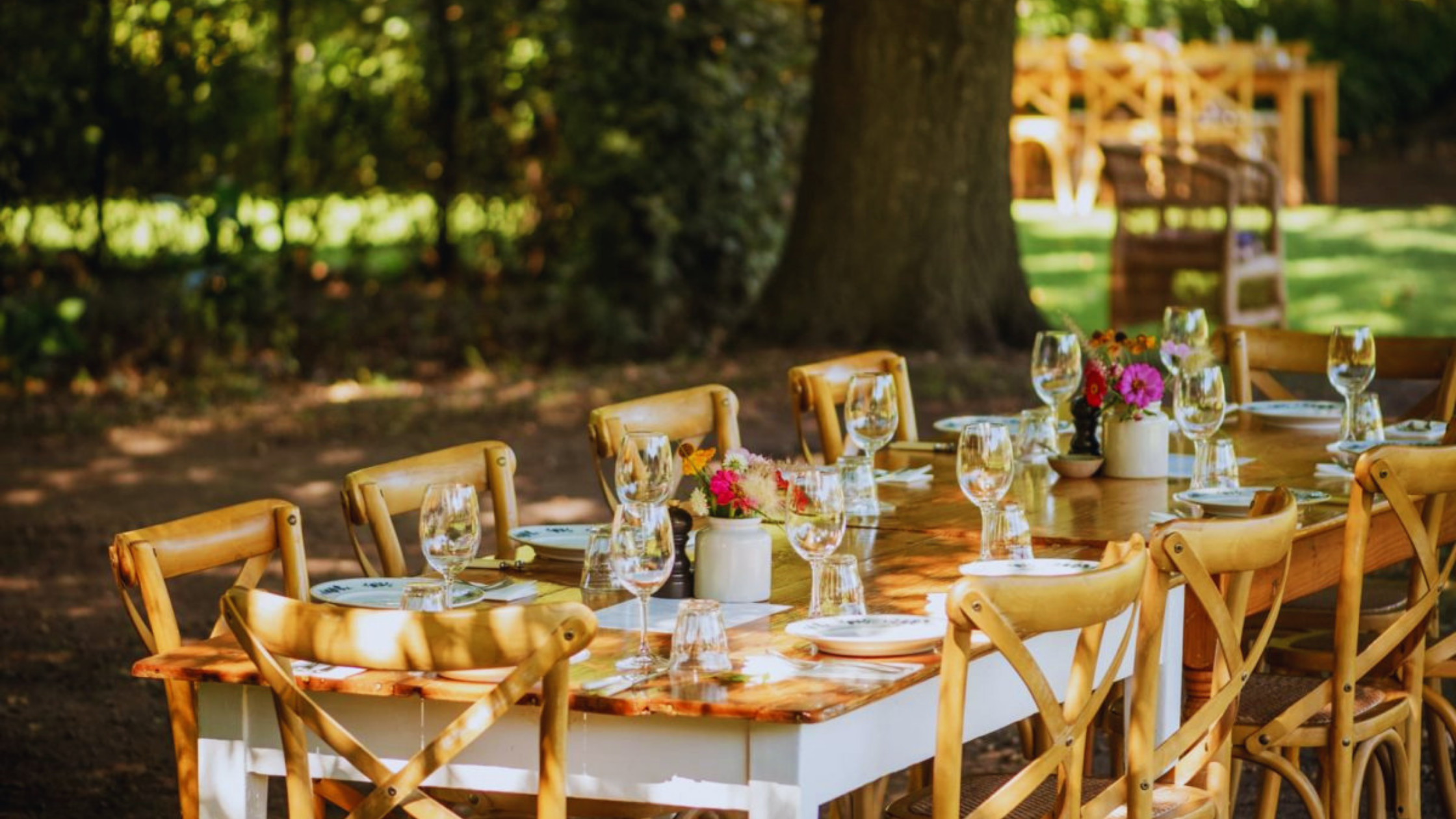 Farm-to-table lunch under oak trees in Stellenbosch